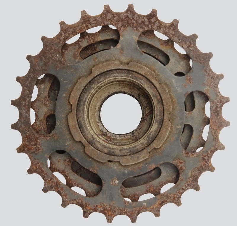 Water Gear